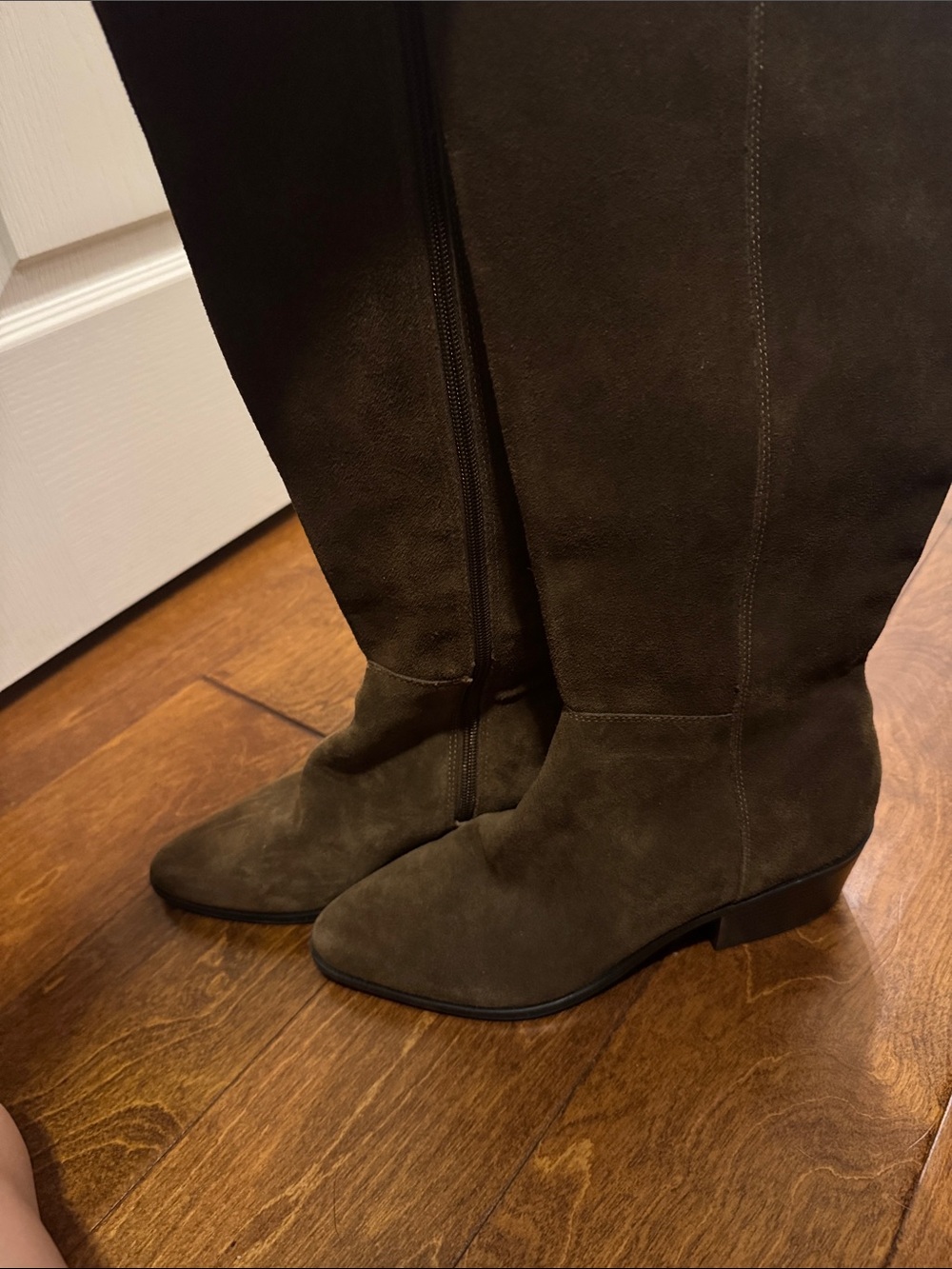 Bandolino Women's Tall Suede Knee-High Boots in brown